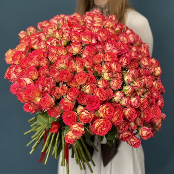 101 яркая кустовая роза Саммер Дэнс 50 см