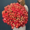 101 яркая кустовая роза Саммер Дэнс 50 см