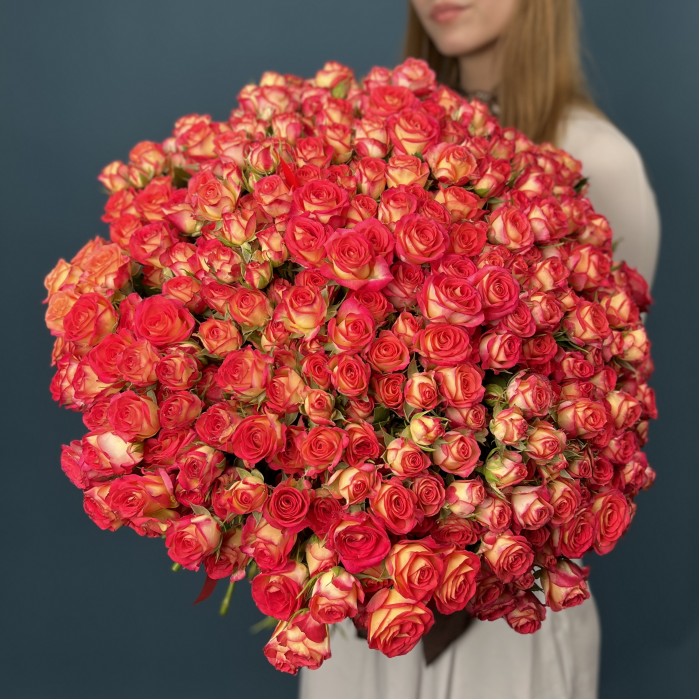 101 яркая кустовая роза Саммер Дэнс 50 см