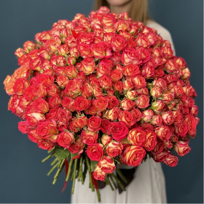 101 яркая кустовая роза Саммер Дэнс 50 см