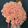 101 розовая роза Новия 60 см