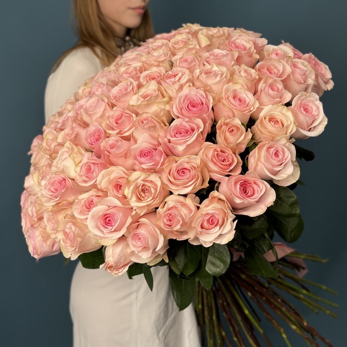 101 розовая роза Новия 60 см