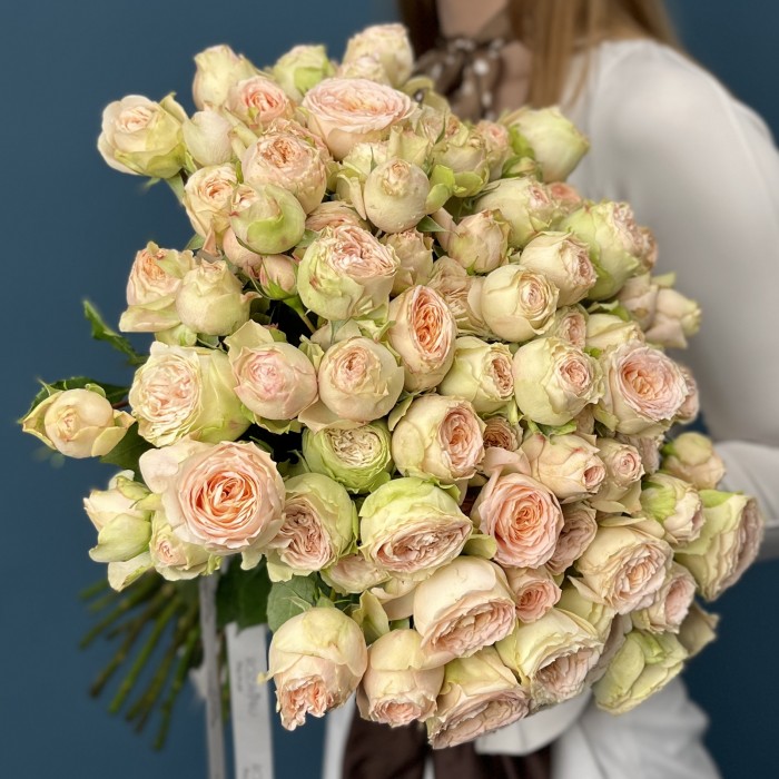 Кустовая Персиково-зелёная роза Павлова 50 см