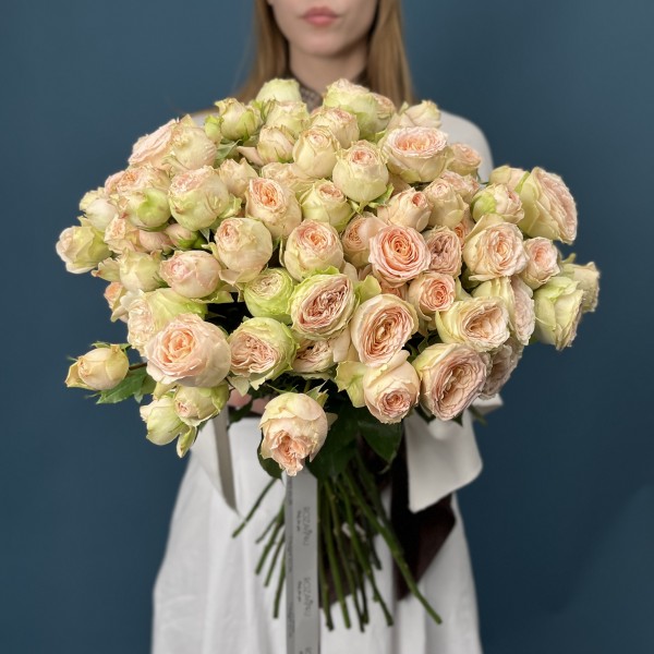 Кустовая пионовидная роза Павлова 40 см