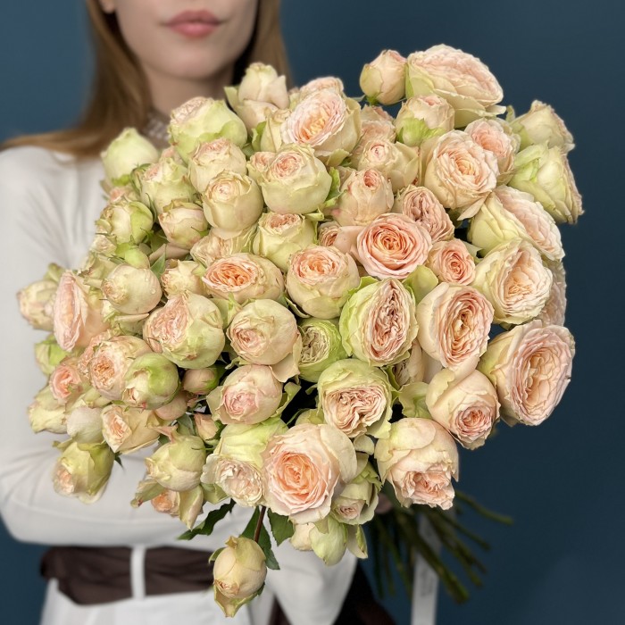 Кустовая Персиково-зелёная роза Павлова 50 см