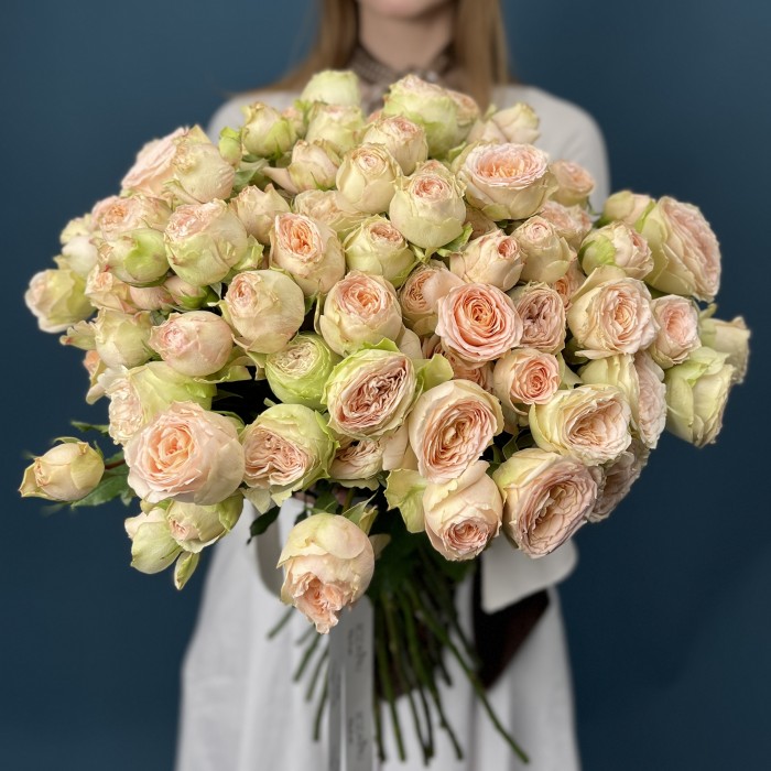 Кустовая Персиково-зелёная роза Павлова 50 см