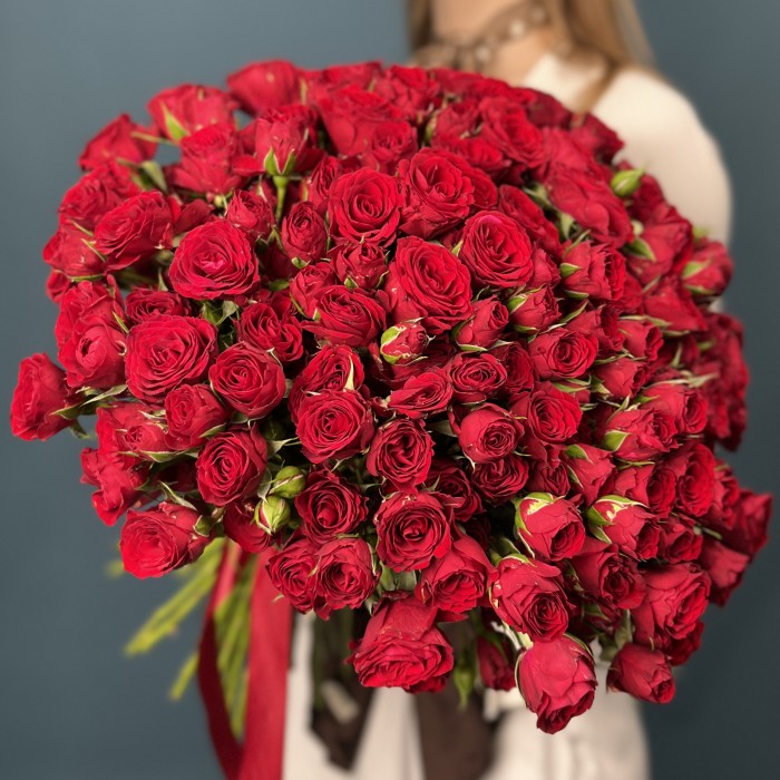 51 кустовая красная роза Велвет Блоссом 40 см