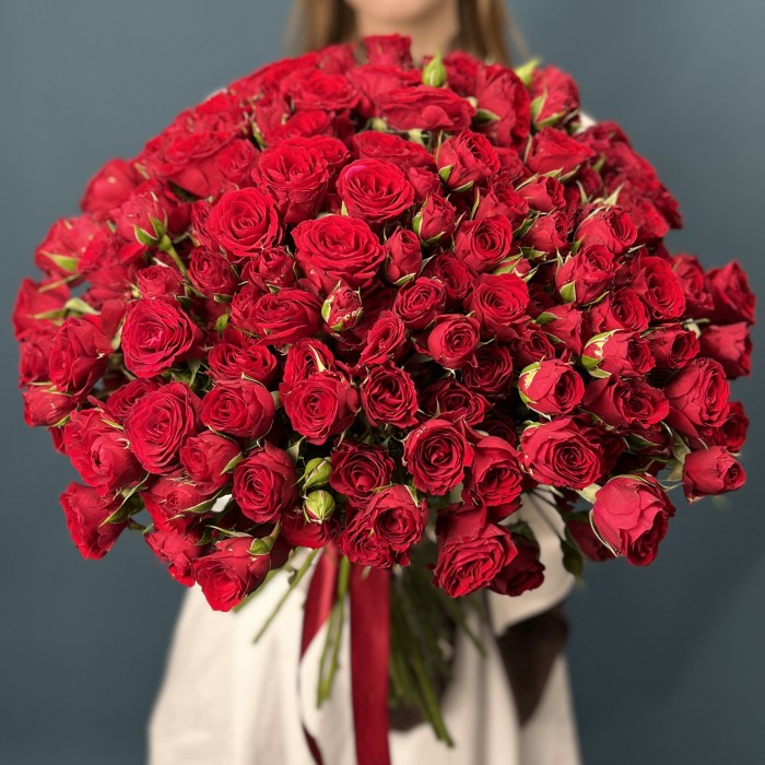 51 кустовая красная роза Велвет Блоссом 40 см