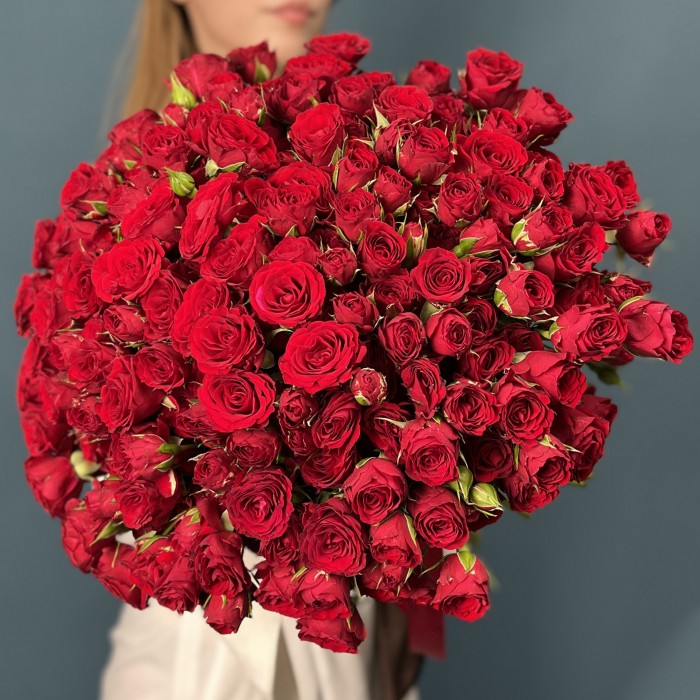 51 кустовая красная роза Велвет Блоссом 40 см