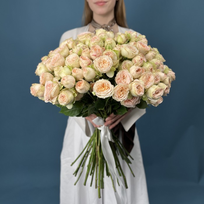 51 кустовая пионовидная роза Павлова 50 см