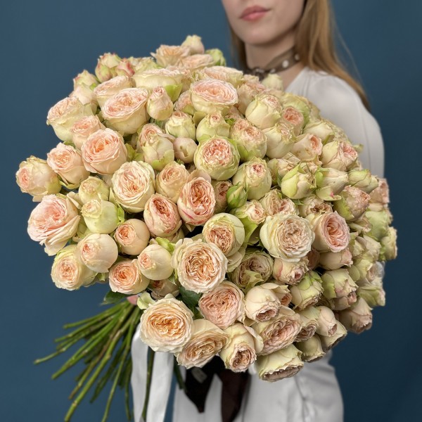 51 кустовая пионовидная роза Павлова 50 см