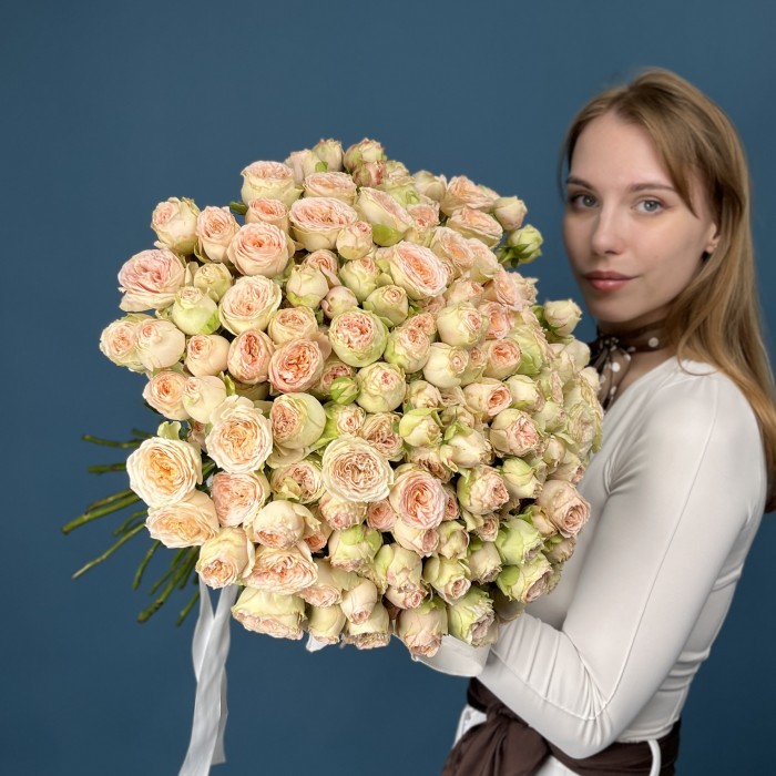 51 кустовая пионовидная роза Павлова 50 см