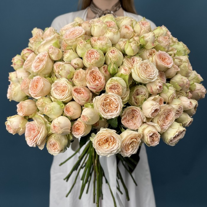 51 кустовая пионовидная роза Павлова 50 см