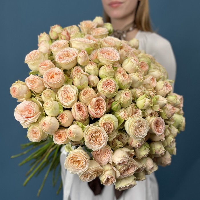 51 кустовая пионовидная роза Павлова 50 см