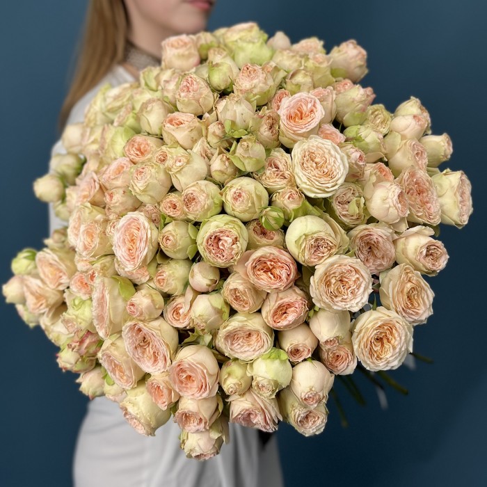 51 кустовая пионовидная роза Павлова 50 см