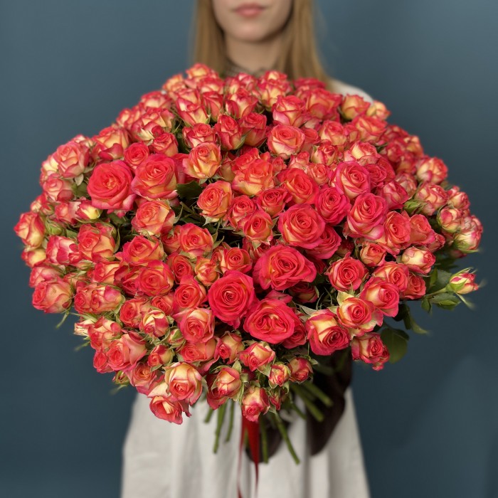 51 яркая кустовая роза Саммер Дэнс 50 см