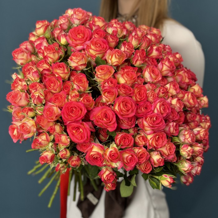 51 яркая кустовая роза Саммер Дэнс 50 см
