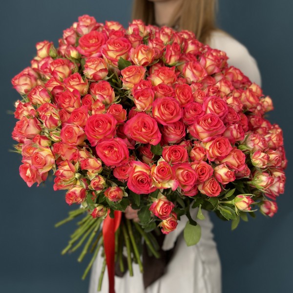51 яркая кустовая роза Саммер Дэнс 50 см