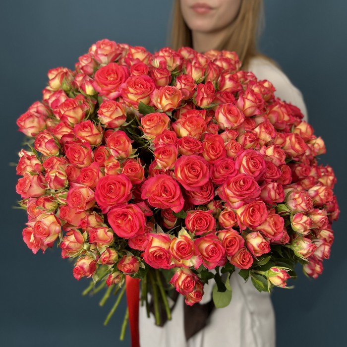 51 яркая кустовая роза Саммер Дэнс 50 см