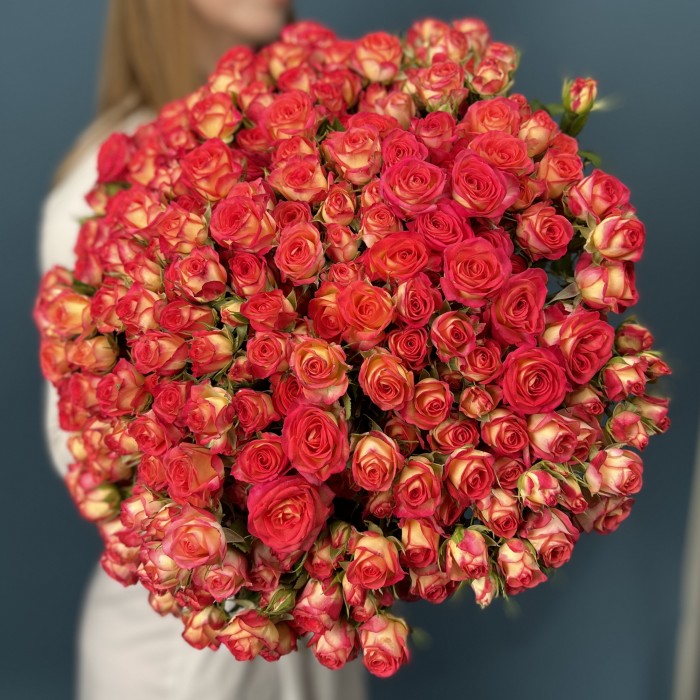 51 яркая кустовая роза Саммер Дэнс 50 см