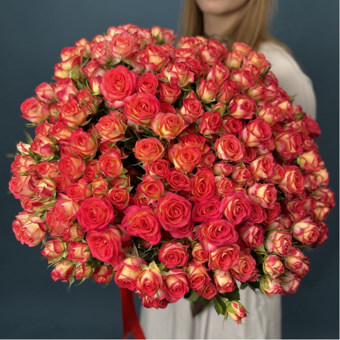 51 яркая кустовая роза Саммер Дэнс 50 см