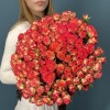 51 яркая кустовая роза Саммер Дэнс 50 см