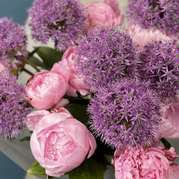 10 пионов Сара Бернар с пушистым  аллиумом