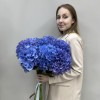 9 голубых гортензий Голландия