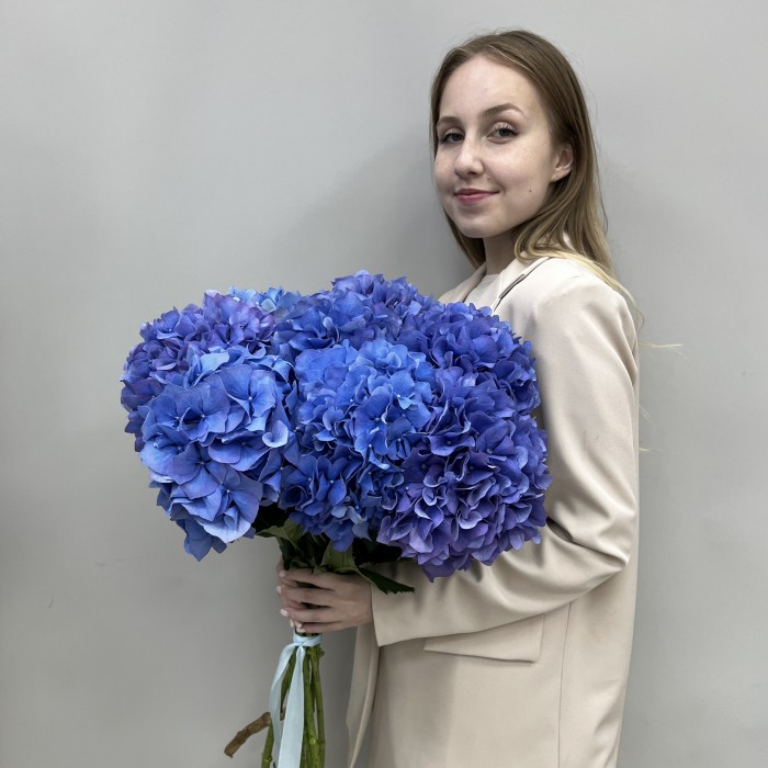9 голубых гортензий Голландия