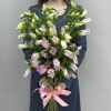 Кампанула розовая