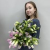 Кампанула розовая