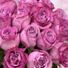 15 сиреневых роз Куинс Краун 60 см