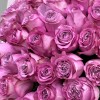35 сиреневых роз Куинс Краун 60 см