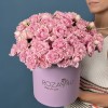 25 кустовых пионовидных роз Кэнди Флоу  в коробке