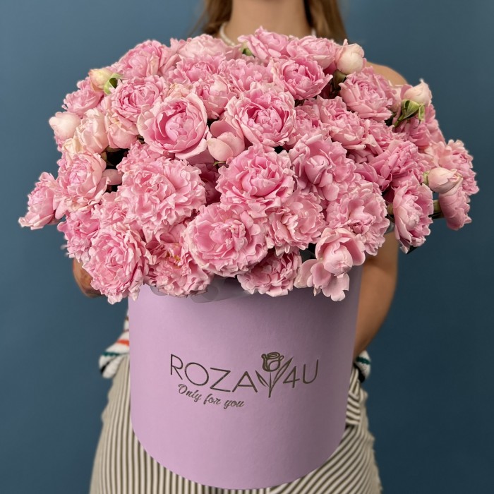 25 кустовых пионовидных роз Кэнди Флоу  в коробке