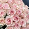 35 розовых роз Новия 70 см