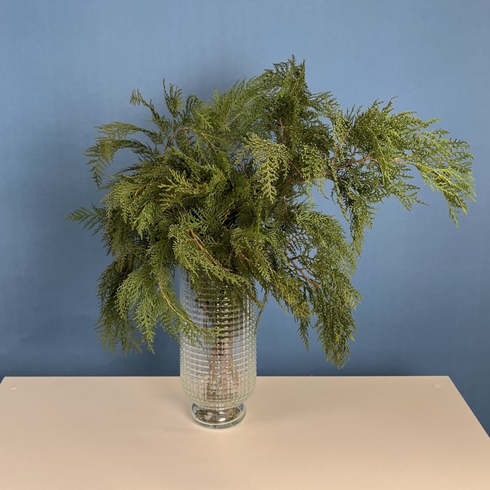 Ветки Кипариса интерьерные