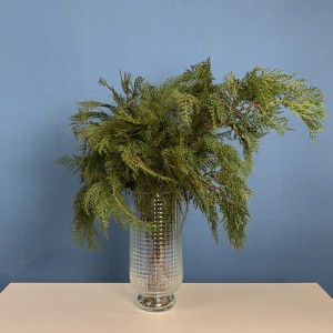 Ветки Кипариса интерьерные