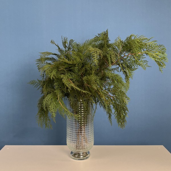 Ветки Кипариса интерьерные