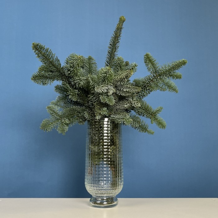 Ветки Нобилиса интерьерные