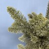 Ветки Нобилиса интерьерные