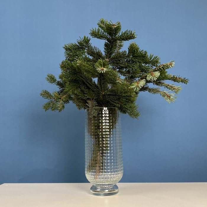 Ветки Пихты интерьерные