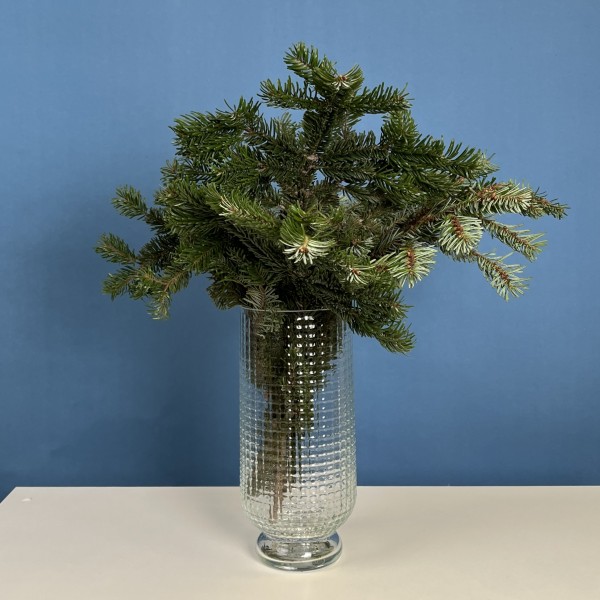 Ветки Пихты интерьерные