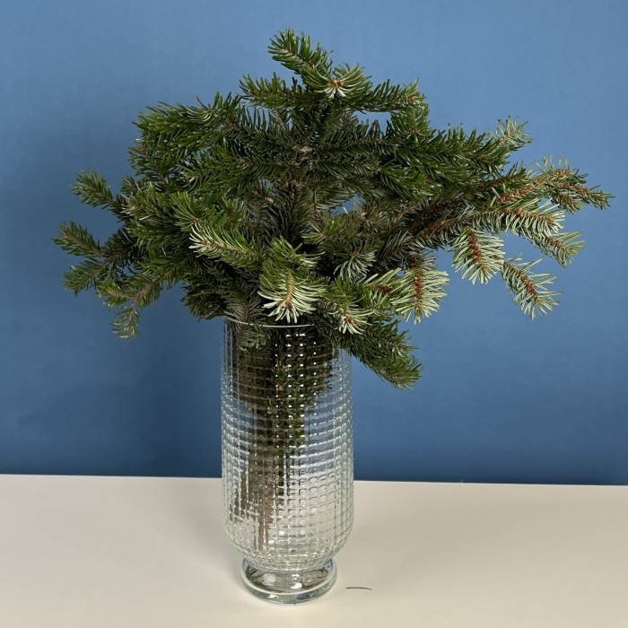 Ветки Пихты интерьерные