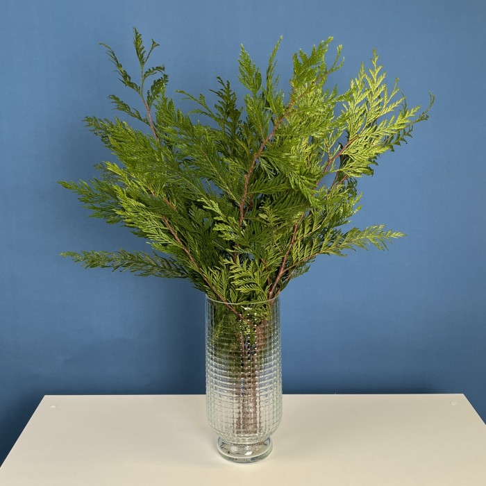 Ветки Туи Голд интерьерные