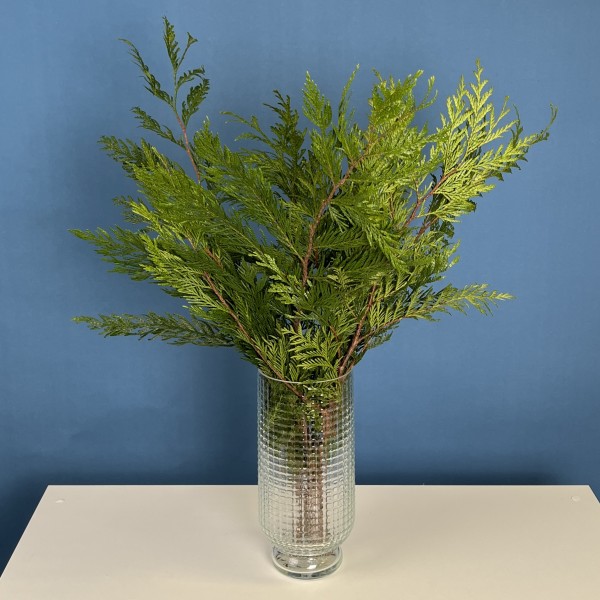 Ветки Туи Голд интерьерные