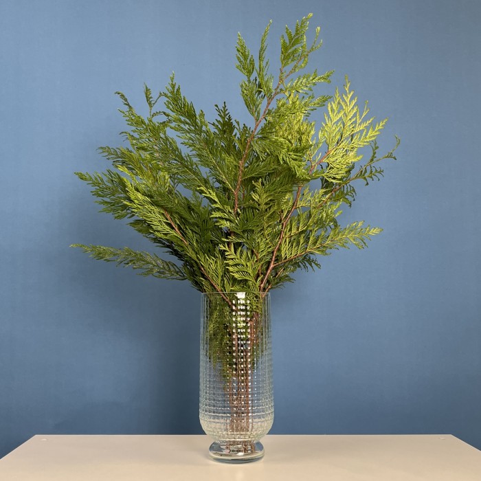 Ветки Туи Голд интерьерные