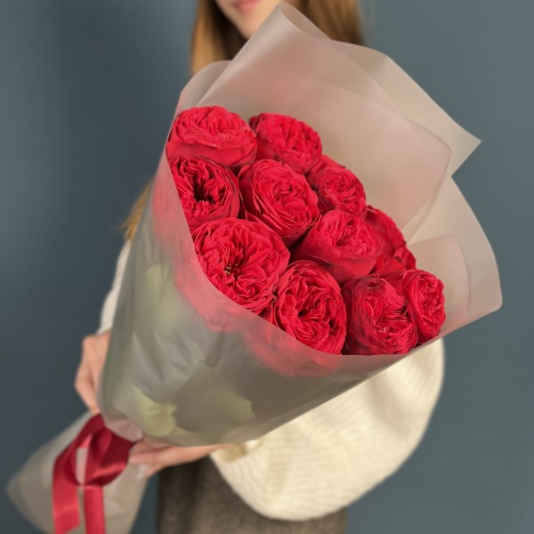 11 красных пионовидных роз Ред Пиано 50 см
