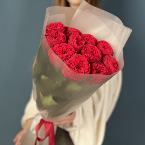 11 красных пионовидных роз Ред Пиано 60 см