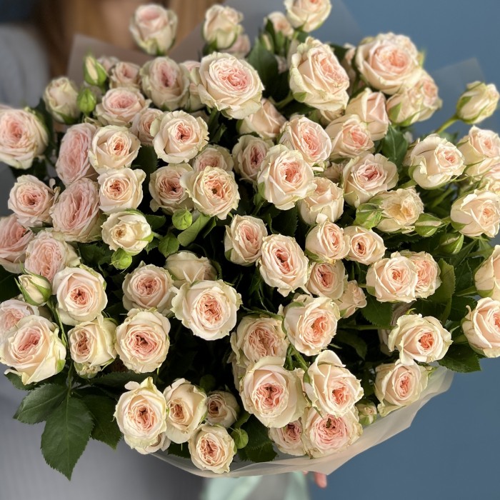 11 кустовых персиковых роз Свит Сара 60 см